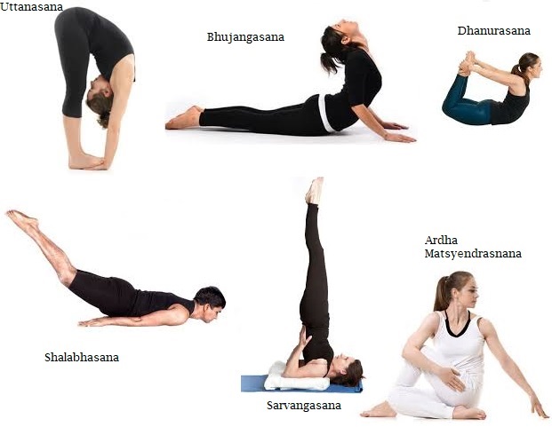 Different Yoga asana poses for diabetes management.