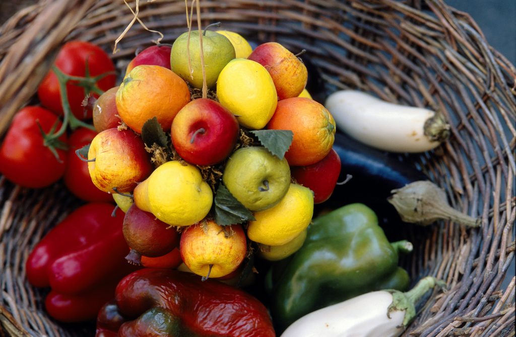 A beautiful shot of assorted colorful vegetables in a basket.