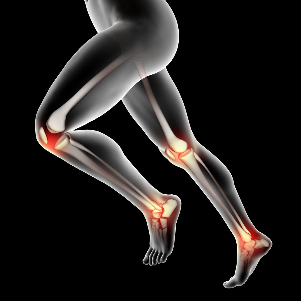 A 3D medical image of male legs highlighting the knee and ankle joints.