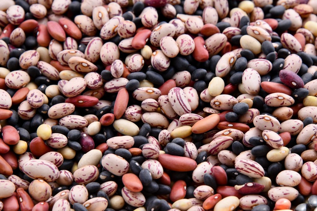 An assorted heap of beans and legumes, including kidney beans, black-eyed peas, chickpeas, and others, rich in fiber, B-vitamins, and minerals.