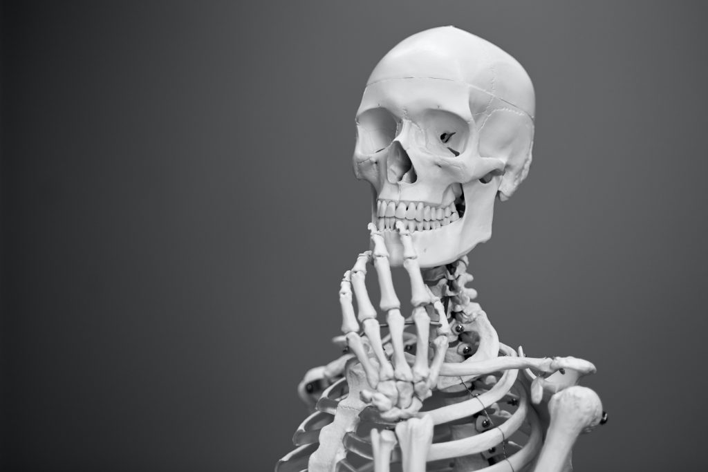 A black and white image of a skeleton.