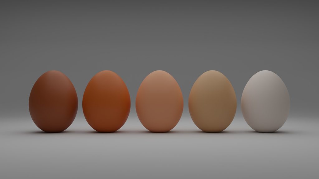 A striking photograph of five eggs in different shades, from brown to white.
