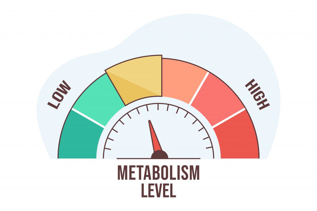 An illustration of a metabolism level meter.
