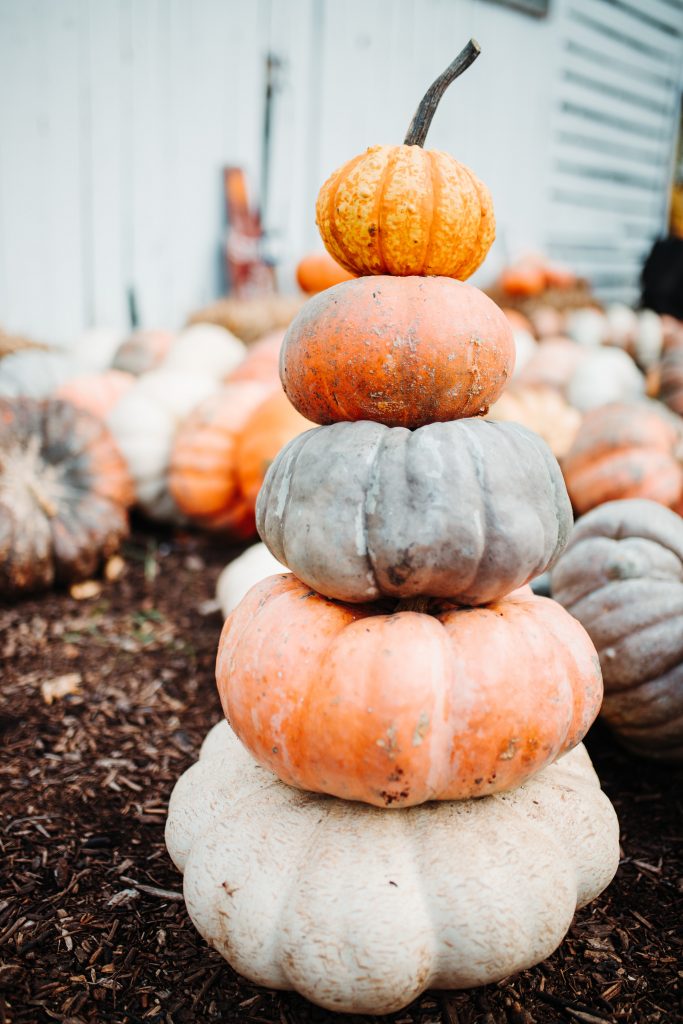 Pumpkins of different sizes stacked vertically in an aesthetically pleasing arrangement.