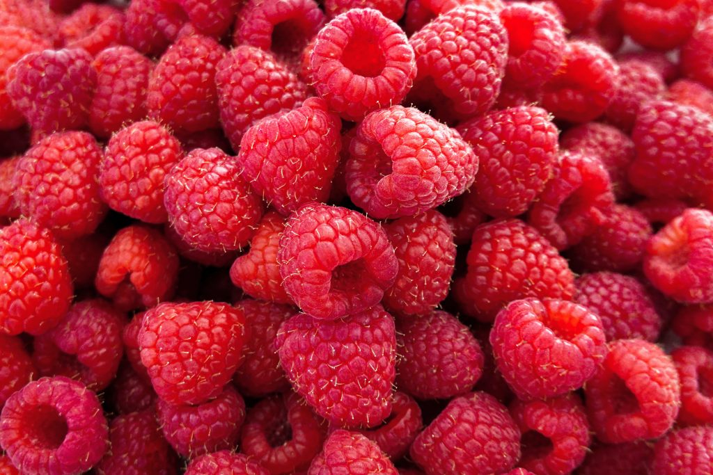 Eye-catching close-up shot of fresh red raspberries, a low-carb fruit.