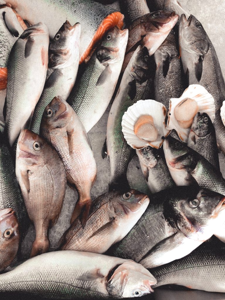 Close-up shot of fatty fish, such as sardines and salmon, neatly arranged.