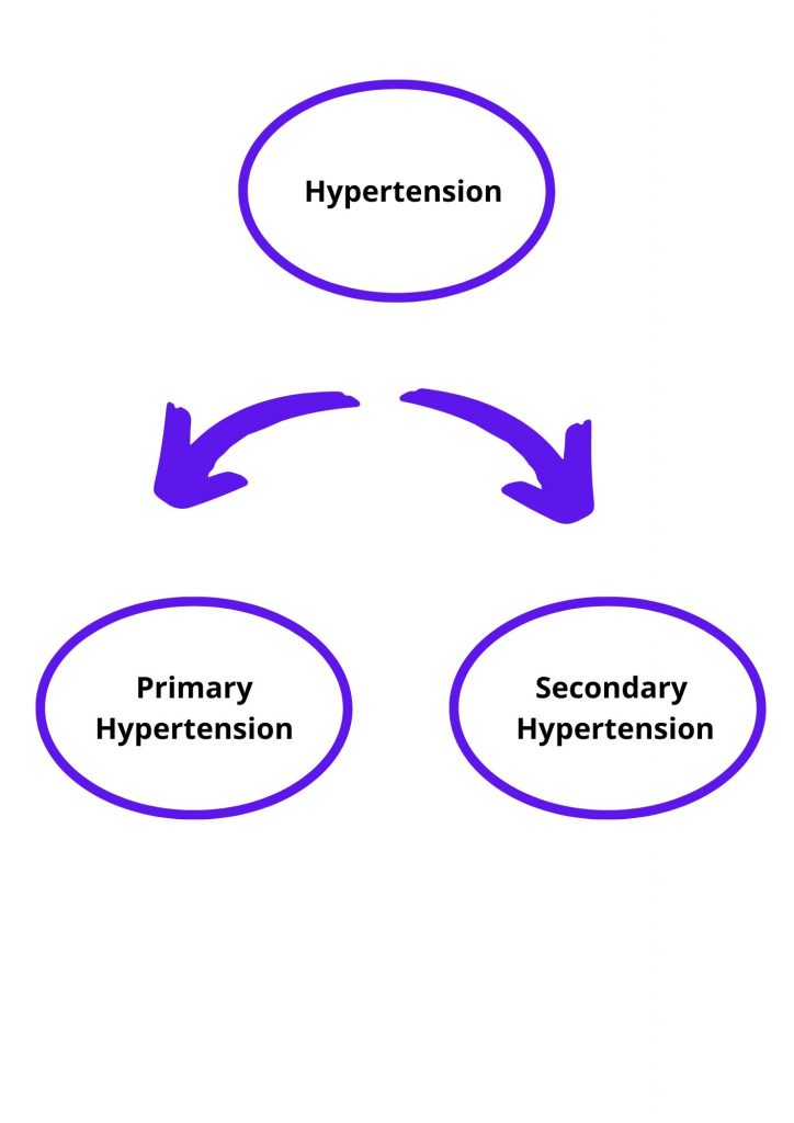 Diagram illustrating hypertension, categorized into primary and secondary types.