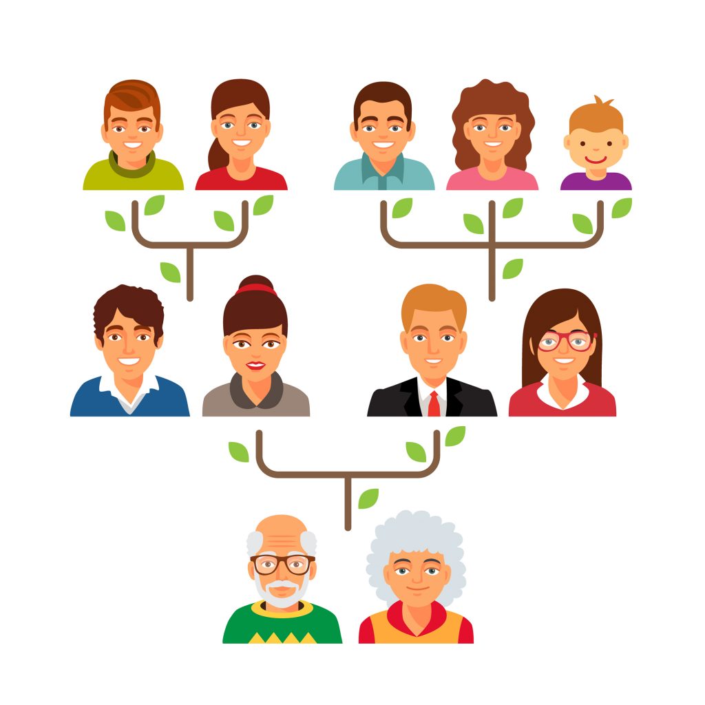 Vector image of a diverse family tree with various age groups and genders connected by branches.