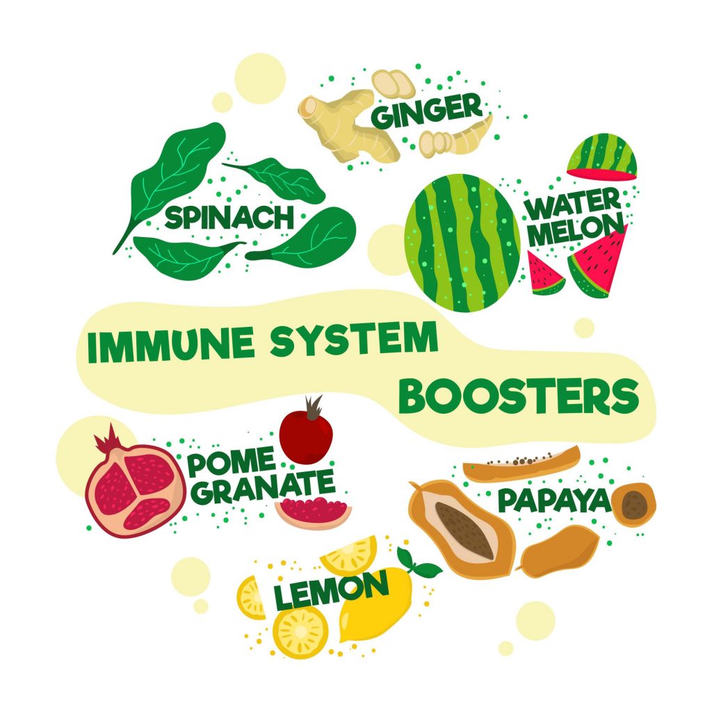 Vector image of various fruits and vegetables with text "Immune System Boosters," highlighting their health benefits.