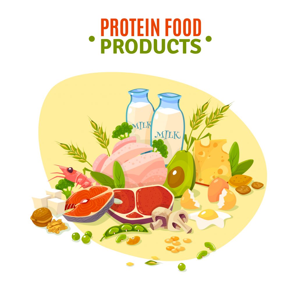 Vector illustration of protein-rich foods: milk, meat, fish, eggs, and avocados.