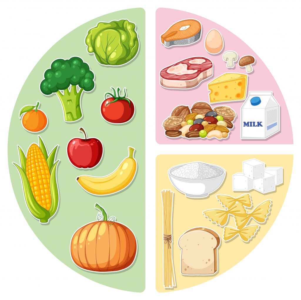 A food chart showcasing vegetables, fruits, proteins, dairy, and grains in separate sections for a healthy eating guide.