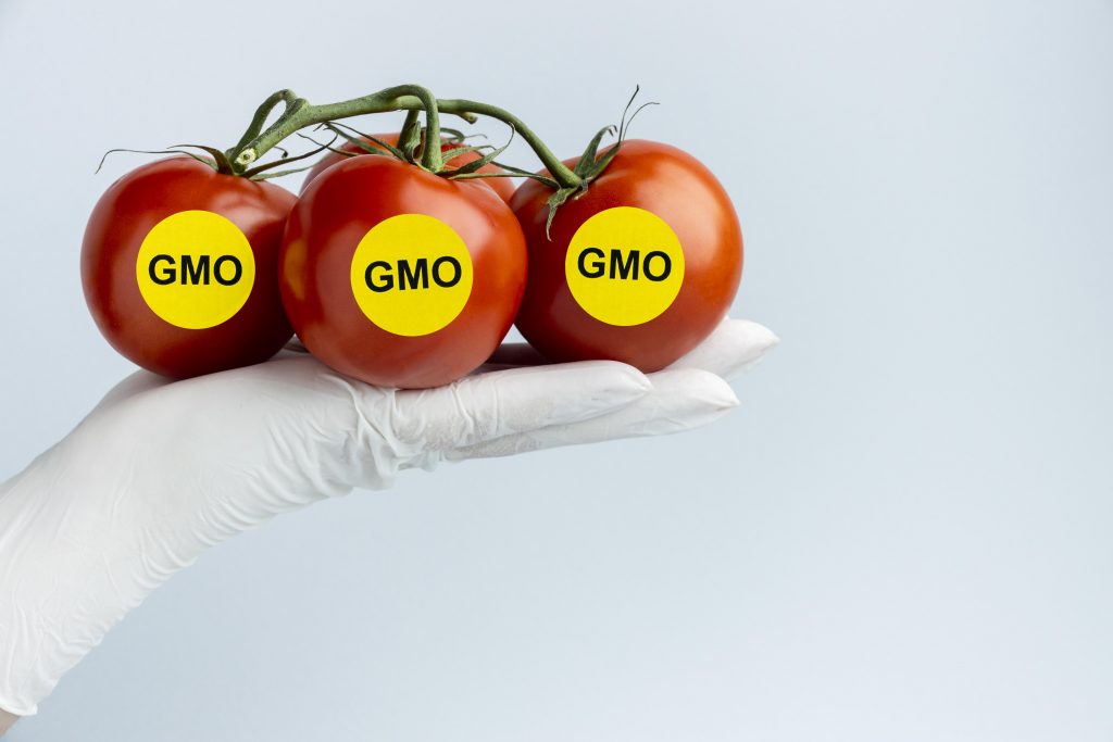 A person's hand holding tomatoes with a yellow slip labeled "GMO," highlighting genetically modified produce.