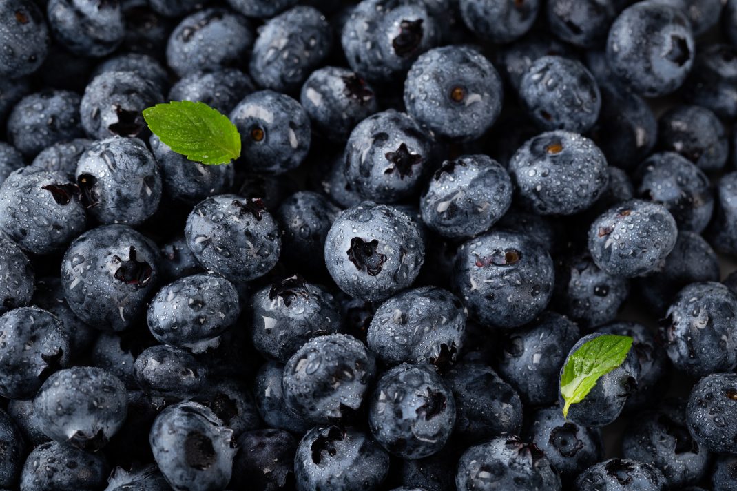 A close-up view of fresh blueberries with water droplets on it.