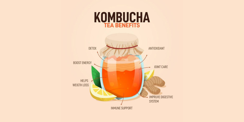 Vector image of Kombucha tea benefits.