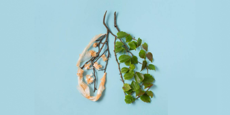 An illustration of lungs showing a comparison: one side features fresh leaves to represent healthy lungs, while the other side displays a depiction of infected lungs.