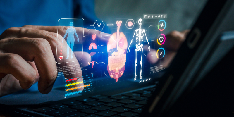 A health professional analyzes digital organ renderings on a screen to predict chronic disease risk with smart reports.
