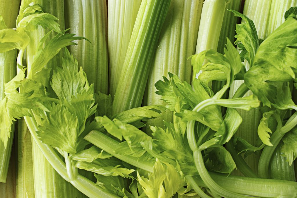 A stunning close-up photograph of celery, artfully arranged to showcase its vibrant green stalks.
