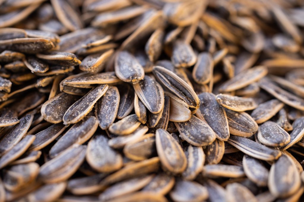 Close-up view of sunflower seeds, a rich source of Vitamin E.