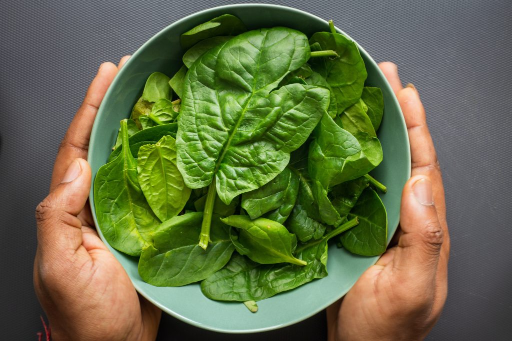 A bowl of spinach, rich in Vitamin K, which is also synthesized by gut bacteria to meet daily requirements.