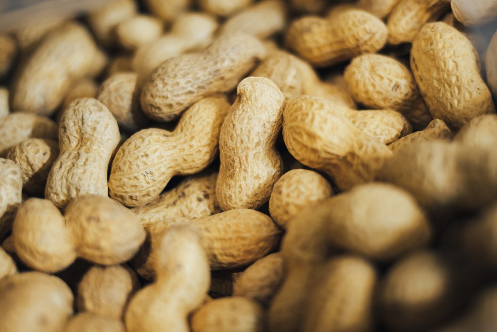 A whole peanut, packed with magnesium, an essential mineral for muscle function and overall health.