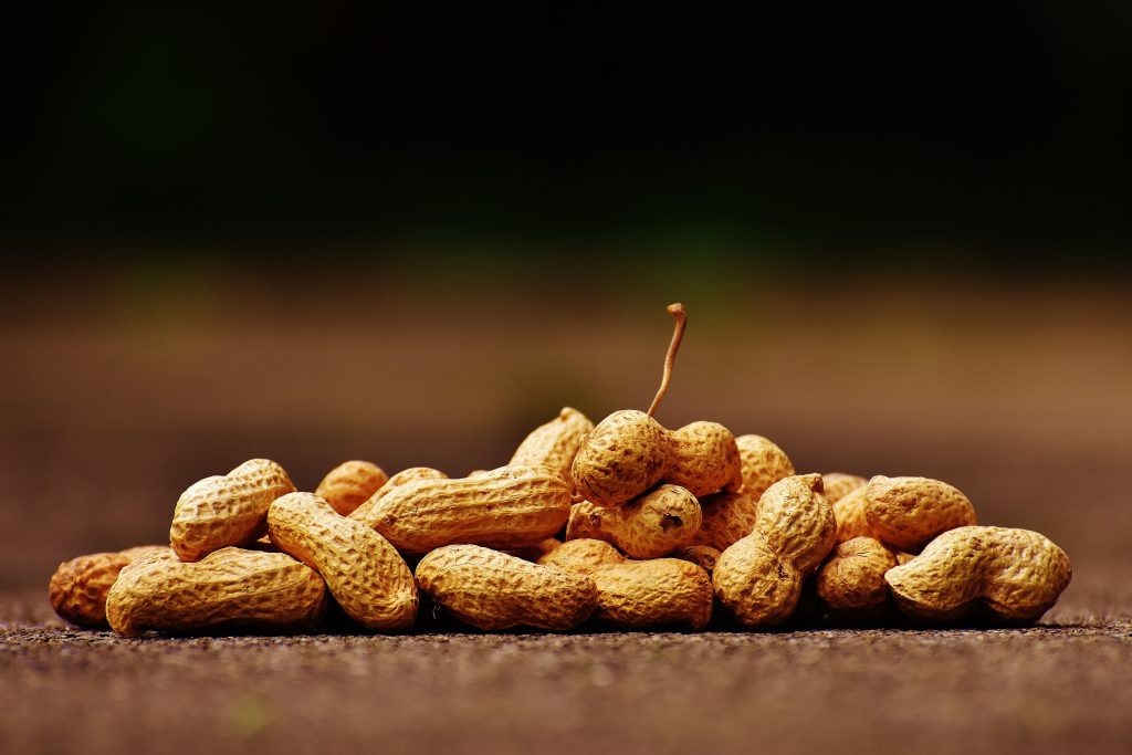 Peanuts with cover, rich in protein, fiber, and magnesium, support weight loss by keeping you full longer.