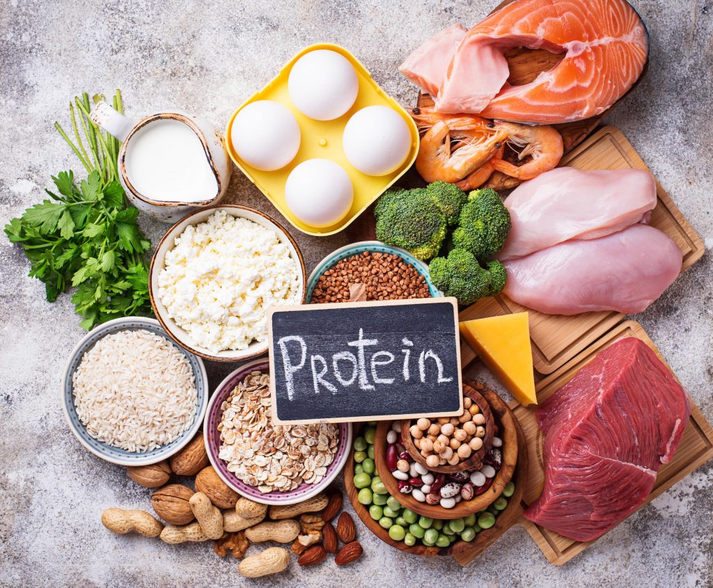 Various protein-rich foods, including meat, fish, eggs, dairy, beans, and nuts, supporting a low-carb, high-protein diet.