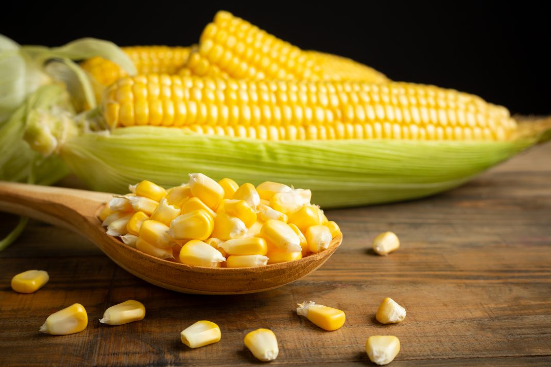 A wooden spoon with loose yellow sweet corn kernels and corn on the cob, highlighting the good amount of vitamin C.